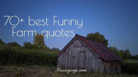 catchy farm phrases.